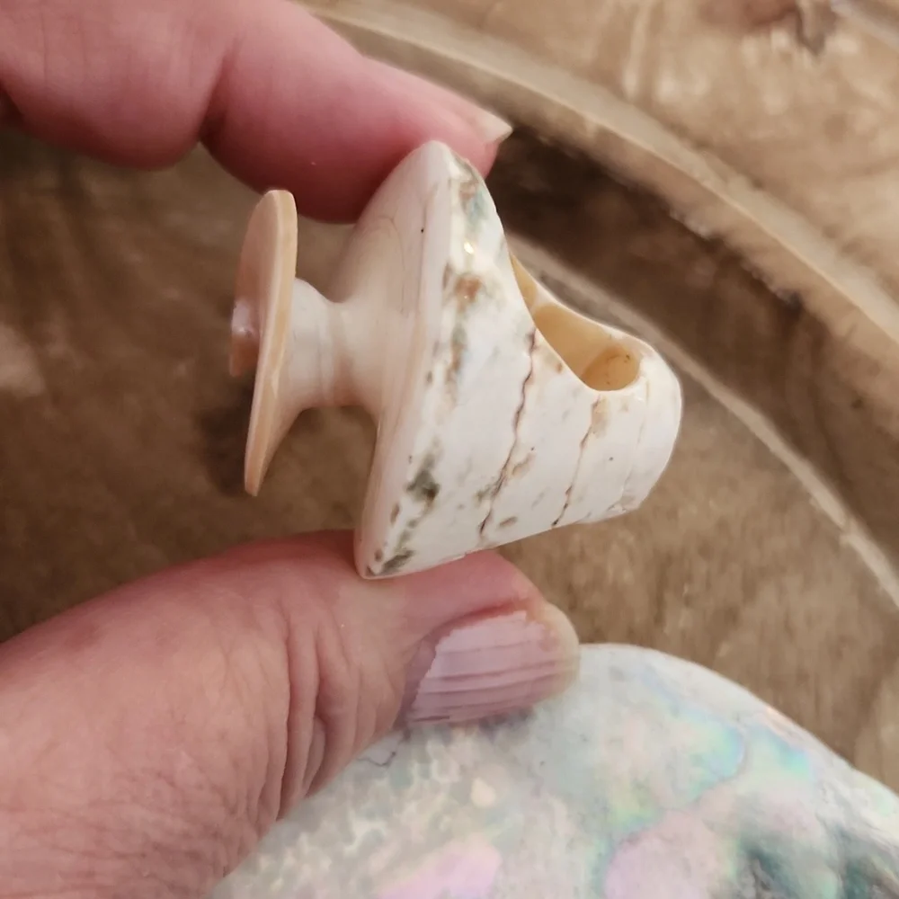 Sea Shell Ring - Picture 7 of 7